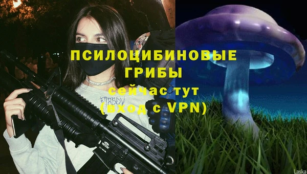 марки nbome Козельск